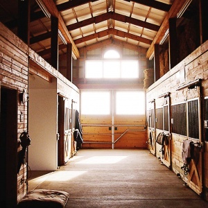 horse stall barn