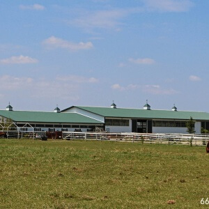 riding arena post frame