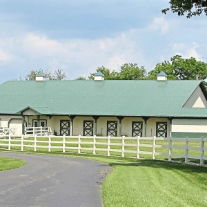 horse barn with stalls